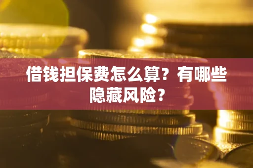 武汉借钱担保费怎么算？有哪些隐藏风险？