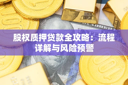 武汉股权质押贷款全攻略：流程详解与风险预警