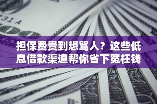 武汉担保费贵到想骂人？这些低息借款渠道帮你省下冤枉钱