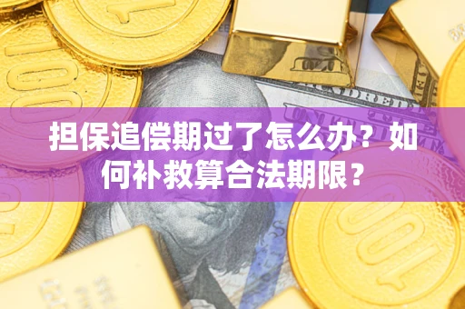 武汉担保追偿期过了怎么办？如何补救算合法期限？