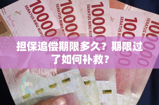 武汉担保追偿期限多久？期限过了如何补救？