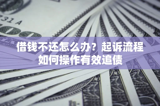 武汉借钱不还怎么办？起诉流程如何操作有效追债