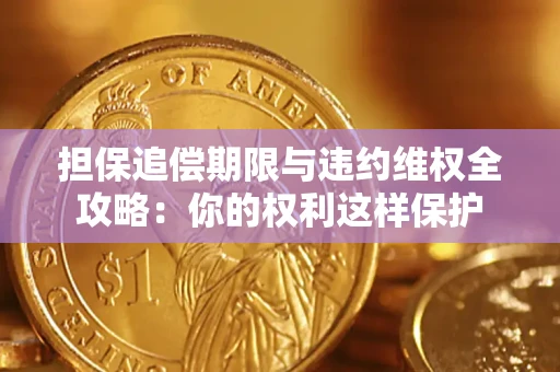 武汉担保追偿期限与违约维权全攻略：你的权利这样保护