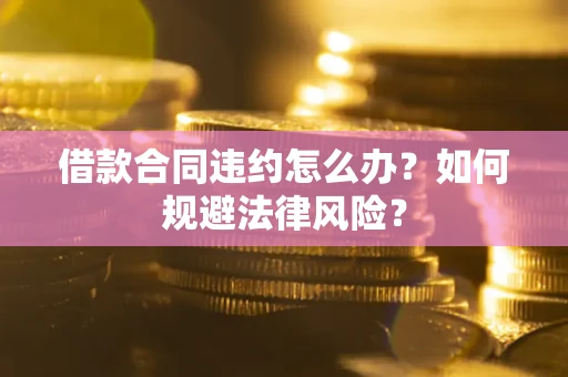 武汉借款合同违约怎么办？如何规避法律风险？